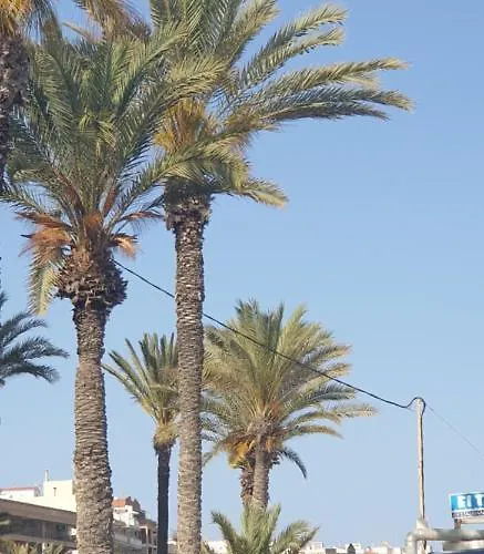 Costa Blanka Resident *